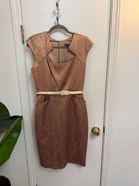 Single Metallic Copper Sheath Dress with Cream Belt